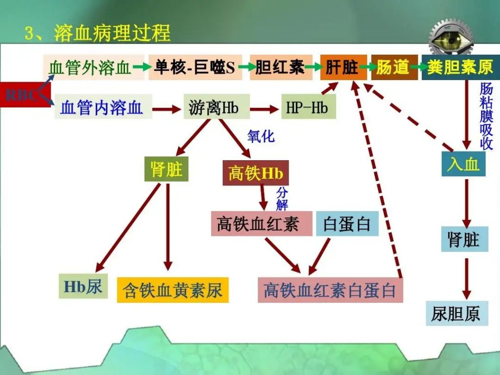 長期的な見通し