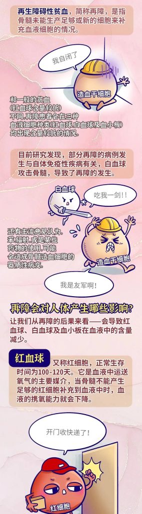 骨髓血液细胞图