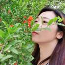  钻石的眼泪